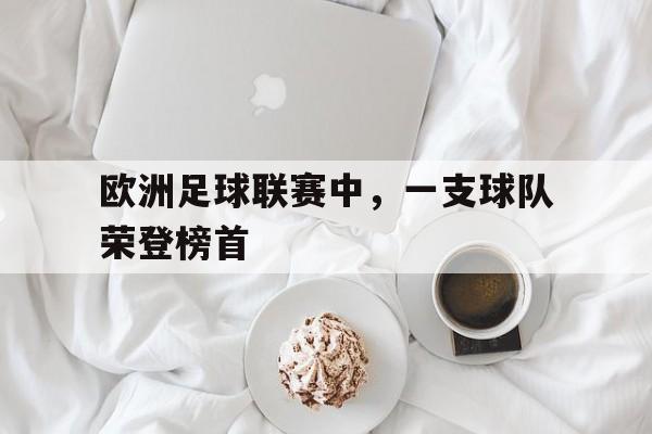 ju11.co-欧洲足球职业联赛排名